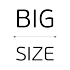 BigSize
